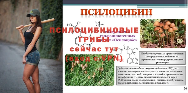 герыч Михайловск